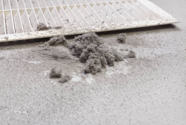 Best Professional Duct Cleaning Services  in West Odessa, TX